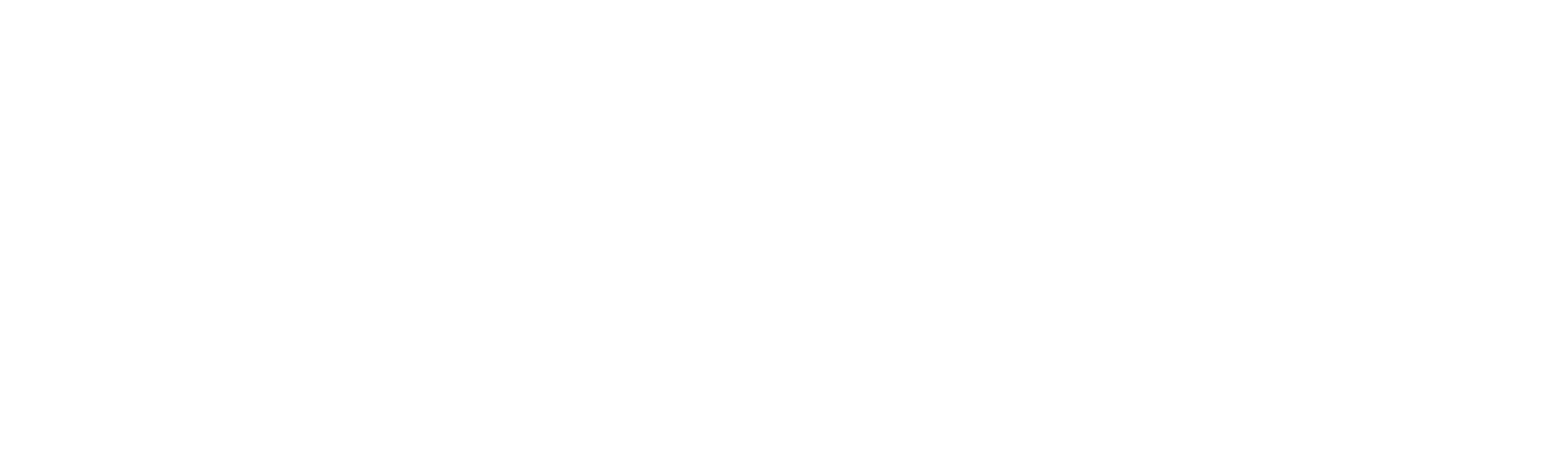 Wordmark only — white